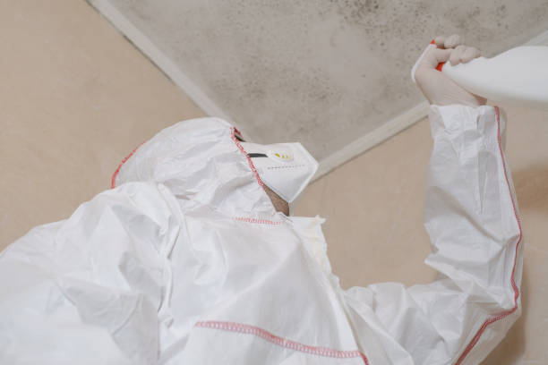Best Residential Mold Removal  in Valley Hill, NC