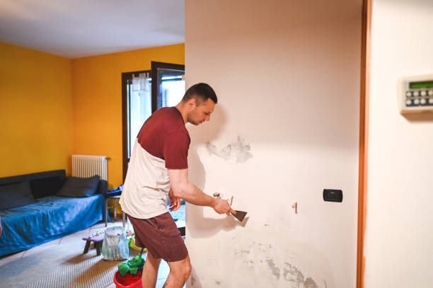 Best Office Mold Removal Services  in Valley Hill, NC
