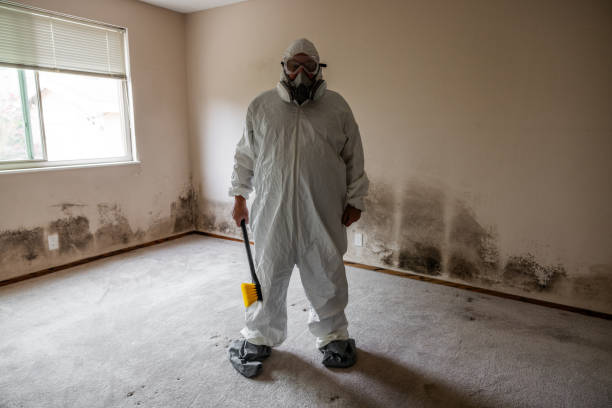 Best Commercial Mold Removal  in Valley Hill, NC